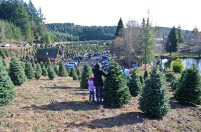 Beautiful trees, pond, and store at Loch Lolly