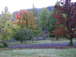 Loch Lolly Photos- Fall 2004