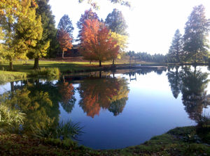 Start of fall at Loch Lolly