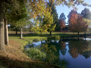 Start of fall at Loch Lolly