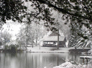 Loch Lolly Photo- Winter Across Pond