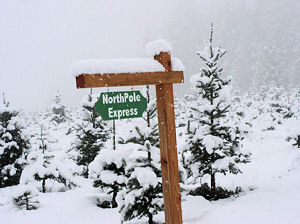 Loch Lolly Photo-North Pole Express Sign