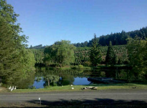 Summer 2010 at beautiful Loch Lolly