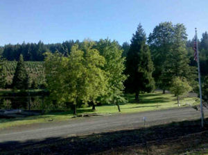 Summer 2010 at beautiful Loch Lolly